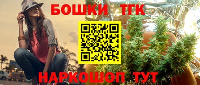 индика Севастополь
